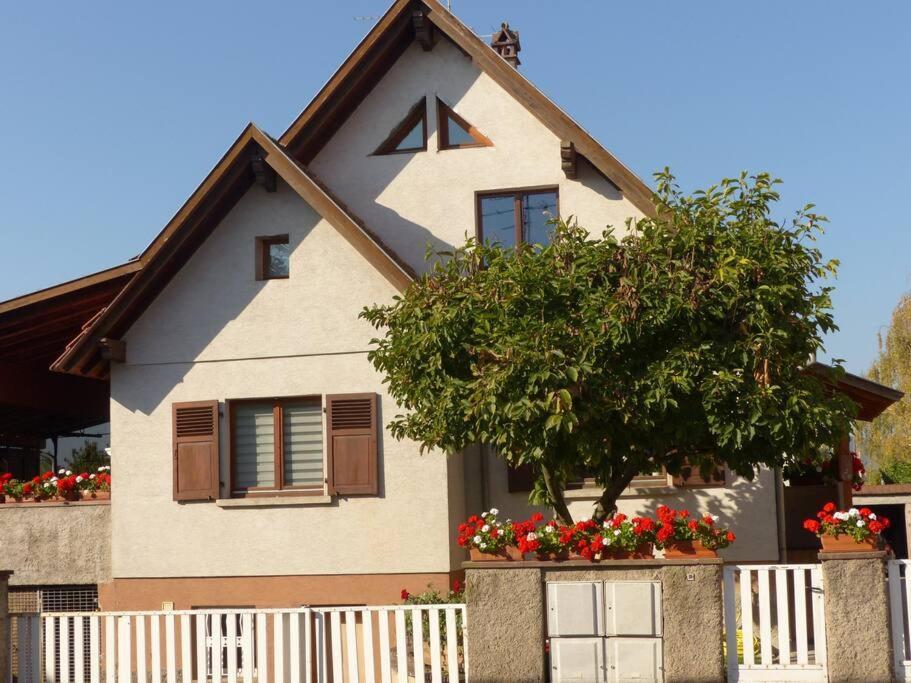Gite Spacieux Au Coeur De L'Alsace 3*** Sélestat Esterno foto