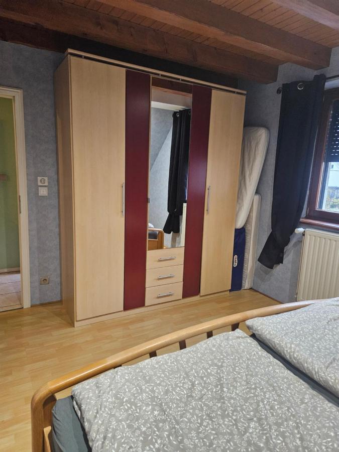 Gite Spacieux Au Coeur De L'Alsace 3*** Sélestat Esterno foto