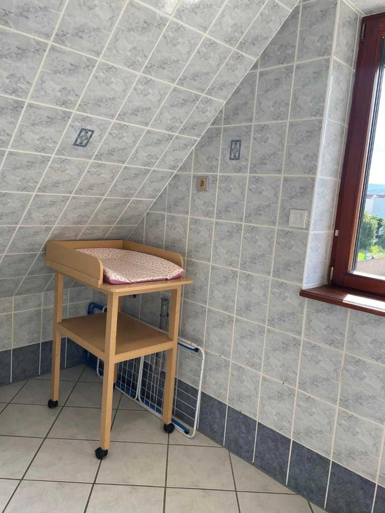 Gite Spacieux Au Coeur De L'Alsace 3*** Sélestat Esterno foto